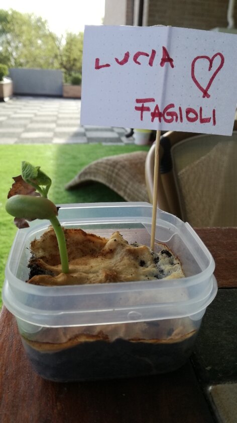 73c4cd00-0d08-43f9-97f4-bca088dd3114 73c4cd00-0d08-43f9-97f4-bca088dd3114