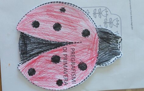 afedf0f5-f527-4a55-94f0-2facc12da6ab afedf0f5-f527-4a55-94f0-2facc12da6ab