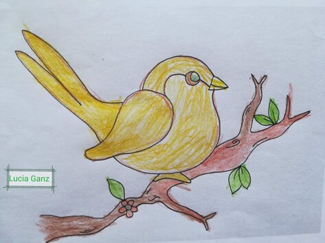 6883b49a-a73e-4208-abc1-54a176aaf90a 6883b49a-a73e-4208-abc1-54a176aaf90a