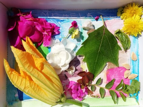 1b9096fc-9545-4450-8e82-e27272c7cb6f 1b9096fc-9545-4450-8e82-e27272c7cb6f