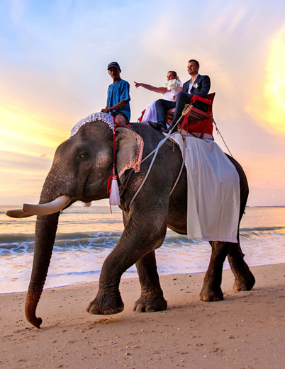 a3947230-451e-4188-83b0-9b3e1cb34246