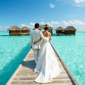 7d938b46-aed5-4f06-895a-c8e3a915efb0