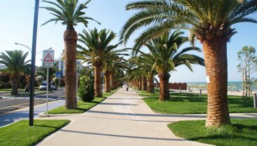 cf2238fe-7698-4379-ab02-3907ffdaf24a