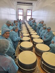 41c4a2d7-cf7d-4177-8a6b-8d2d6c52adfd