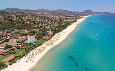 0077ace7-62c1-4f65-8bf8-a0b9bfe3402e