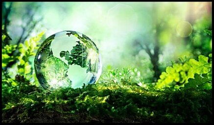 a3263f20-bf38-4f86-9d0d-e2de109bdfe8