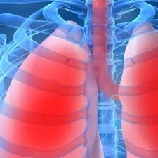 08da2b59-bfb2-4f94-8347-4be28bc93cf6 08da2b59-bfb2-4f94-8347-4be28bc93cf6