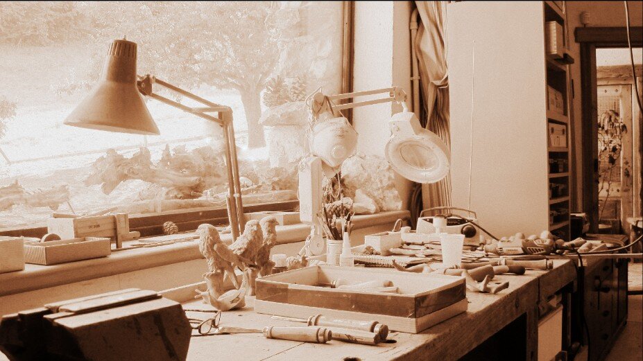 5a20d11c-4d0e-4d2a-b319-662ecc902a51