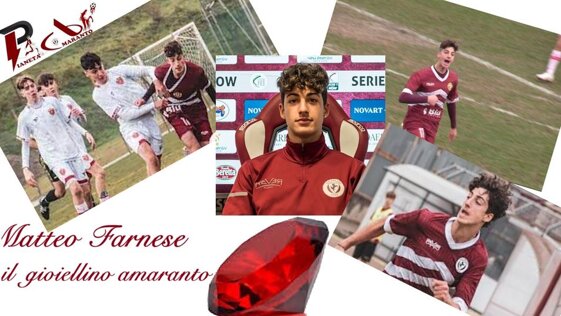 aa53b197-6f79-4c80-84c8-f9b60eebdb06