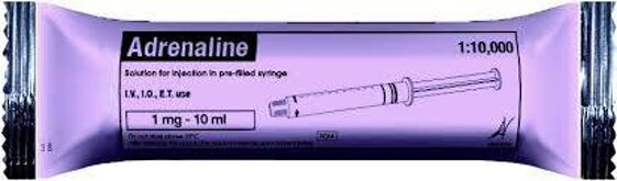 0883ed71-aeac-4e18-b459-e34369720bd6 0883ed71-aeac-4e18-b459-e34369720bd6