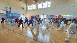 223095e3-f503-4df6-aa24-ee37101a7d1d