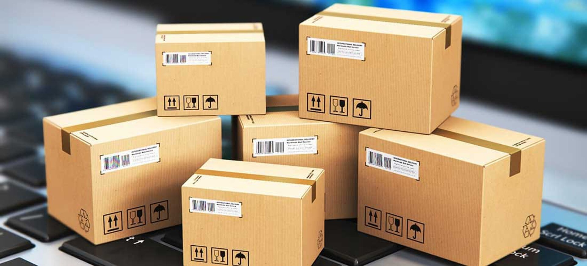 img-20241222-wa0020.jpeg img-20241222-wa0020.jpeg