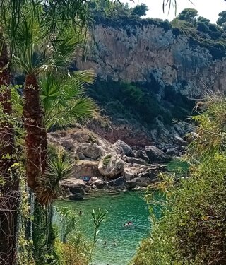 unknown-23.jpeg unknown-23.jpeg