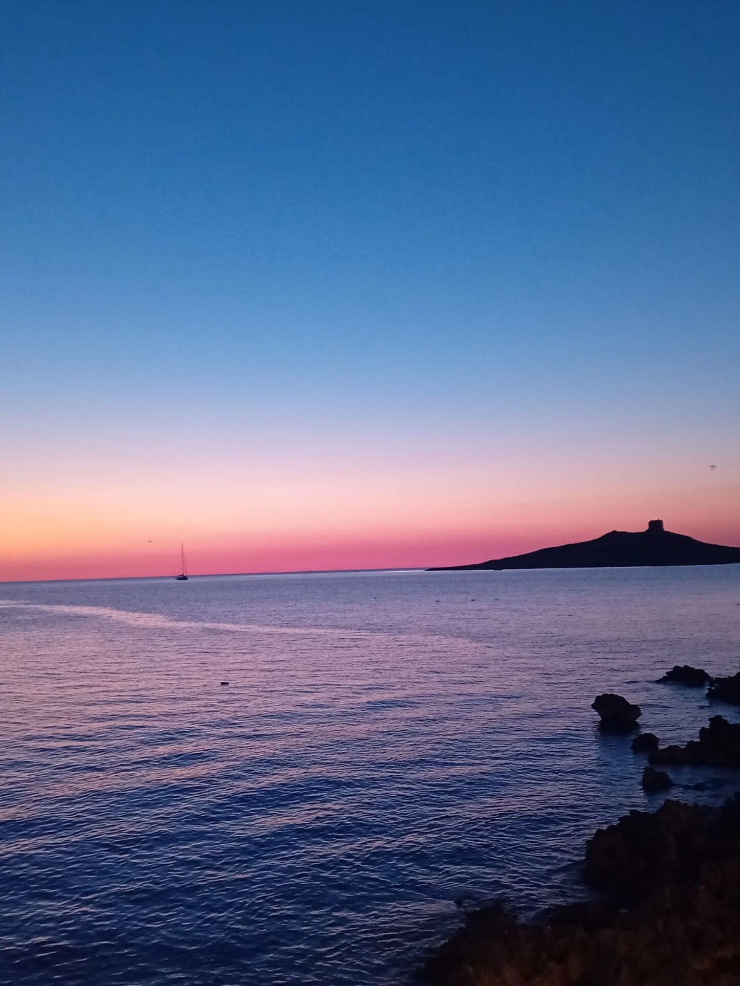 whatsapp image 2025-07-08 at 15.23.22.jpeg