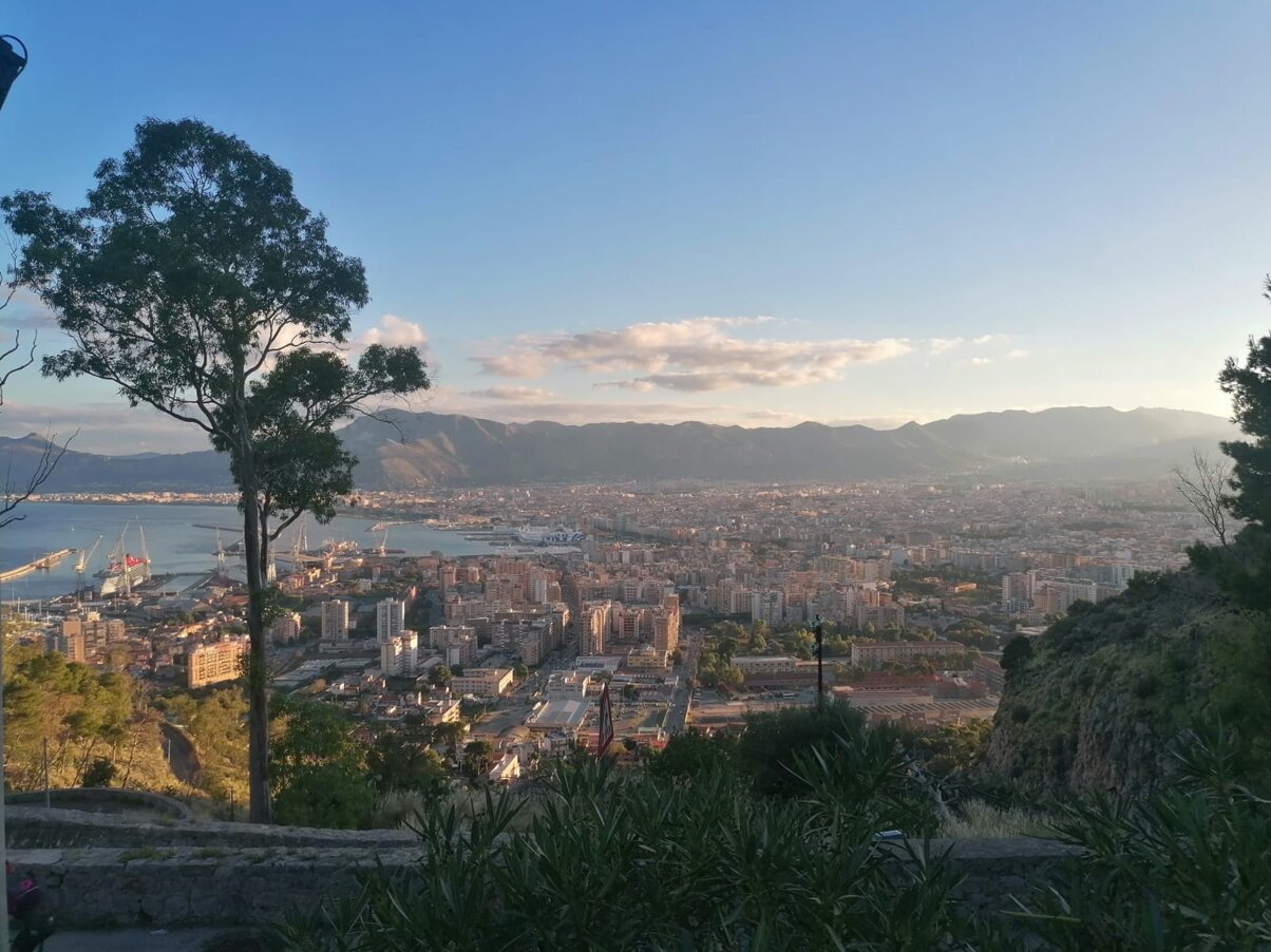 unknown-8 copia.jpeg