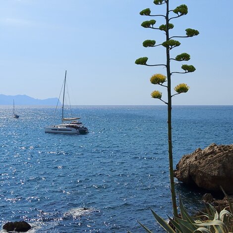 gemini_generated_image_2j5dga2j5dga2j5d gemini_generated_image_2j5dga2j5dga2j5d