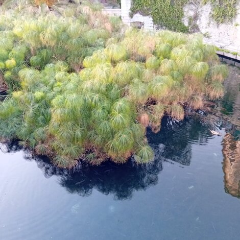 unknown-13.jpeg unknown-13.jpeg