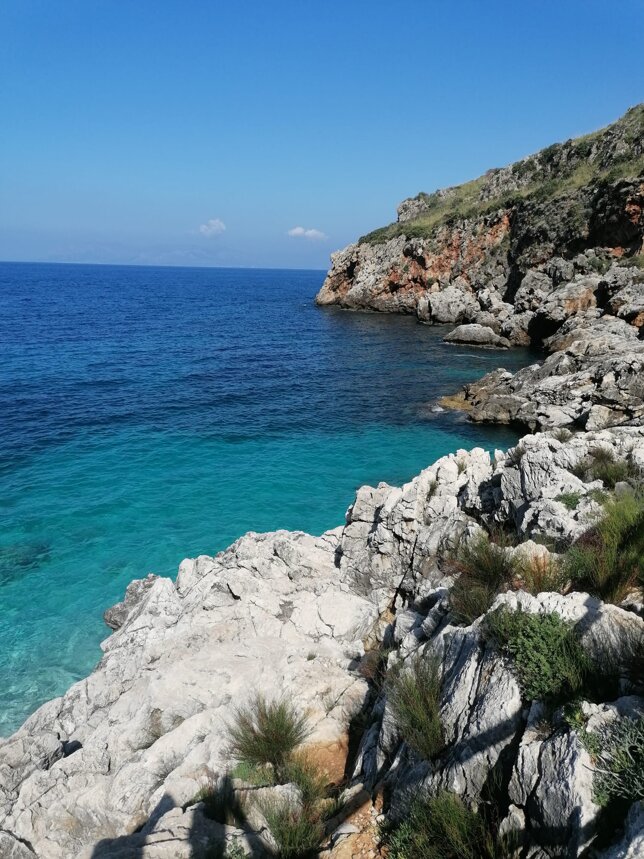 unknown-17.jpeg unknown-17.jpeg