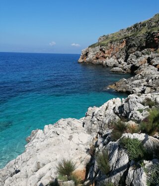 unknown-26.jpeg unknown-26.jpeg