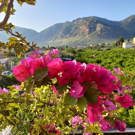 unknown-12.jpeg unknown-12.jpeg