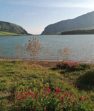 unknown-18.jpeg unknown-18.jpeg