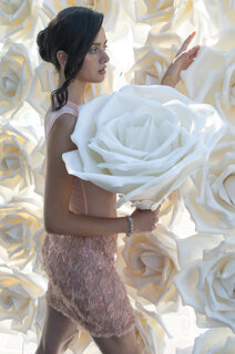 lapetalaia rose bianche isolon .jpeg