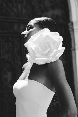 rosa gigante isolon lapetalaia.jpeg