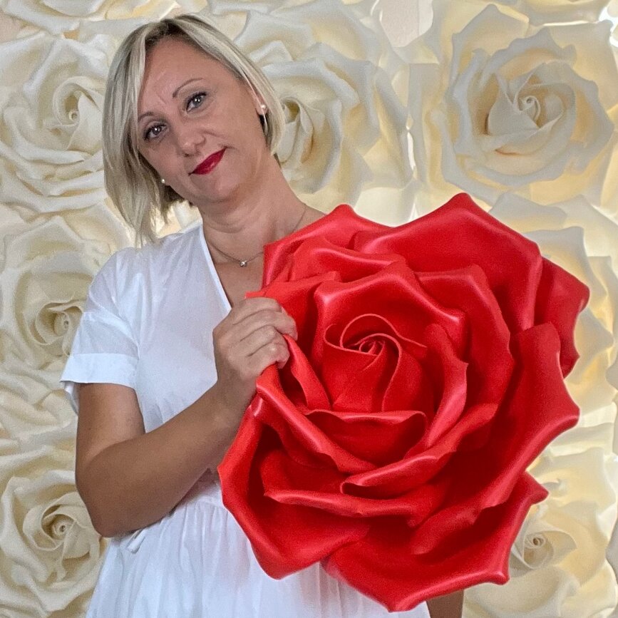 lapetalaia rosa rossa isolon.jpeg