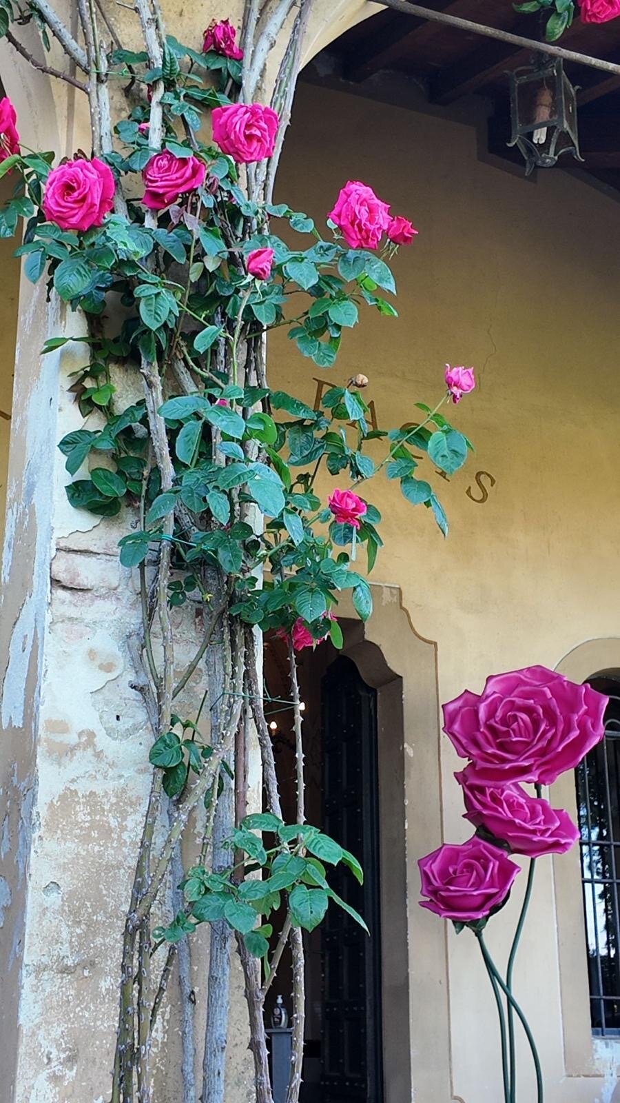 chiesa-pieve-di-bigoglio.jpeg