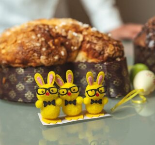 photo_5845872217446008949_y.jpeg photo_5845872217446008949_y.jpeg