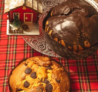 photo_5782637847742450662_y.jpeg photo_5782637847742450662_y.jpeg