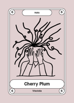 6-cherry-plum-visciola