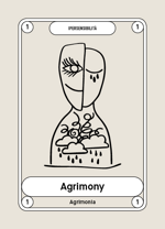 1-agrimony-agrimonia