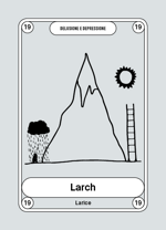 19-larch-larice