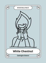 35-white-chestnut-castagno-bianco