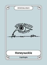 16-honeysuckle-caprifoglio
