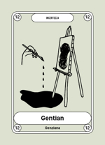 12-gentian-genziana