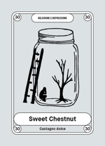 30-sweet-chestnut-castagno-dolce