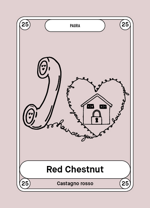 25-red-chestnut-castagno-rosso
