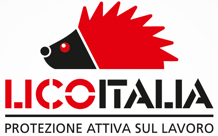 01-logolicoitalia2016