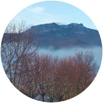 161be1d6a14f463e9048dcaad5797bf9