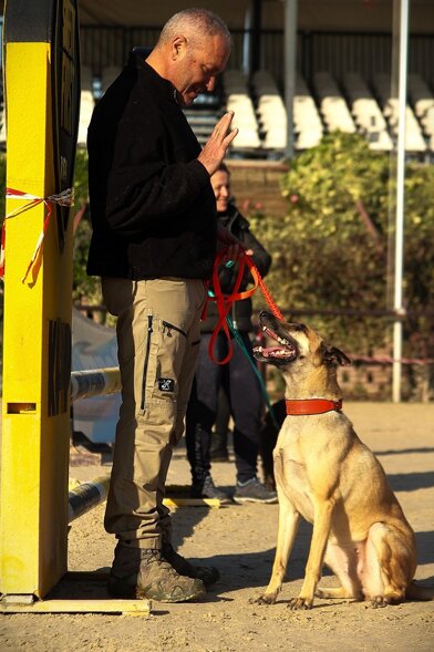 cattolica 2024-1.jpeg