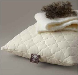 cuscino9.jpeg cuscino9.jpeg