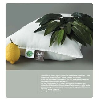 cuscino3.jpeg cuscino3.jpeg