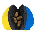 the-clam