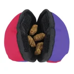 the-clam