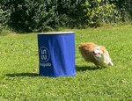 barrel