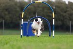 hoop
