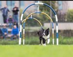 hoop