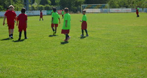 dsc_1347.jpeg